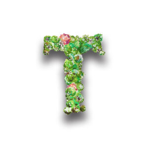 weingut_tischler_icon_t Weingut Tischler Icon T